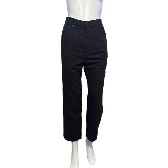NWT FP X Sandrine Rose Slouchy Pants (28)